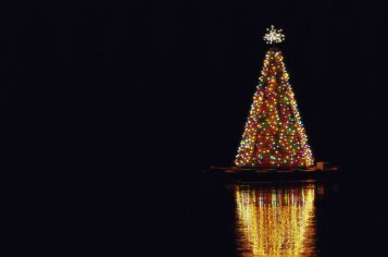 Illuminated Christmas tree at night